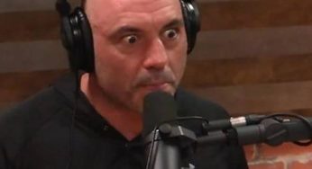 Joe Rogan’s Racist Comments Condemned By Spotify CEO