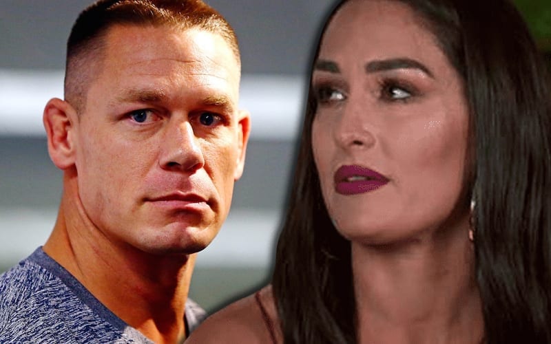 John Cena Breakup Made Nikki Bellas Last Run In Wwe Difficult