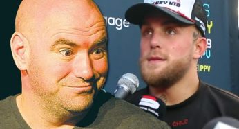 Dana White Couldn’t Care Less About Jake Paul’s Insults When It Comes To UFC Fight