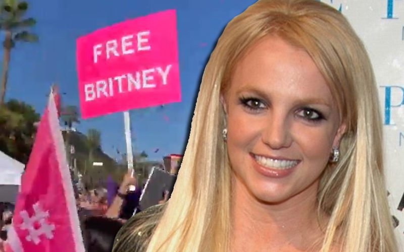 Britney Spears Reacts To Fans Gathering In Celebration That She Is Finally Free