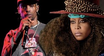 Erykah Badu Dragged By Fans After Blessing Travis Scott