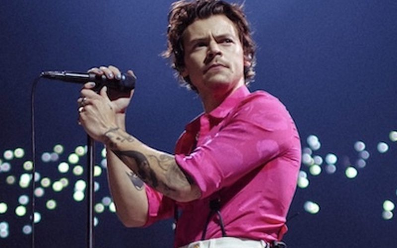 Harry Styles Fan Sues Concert Venue Over Crowd Surge Injuries