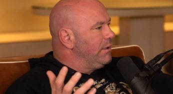 Dana White Open To Having Logan Paul Fight In The UFC