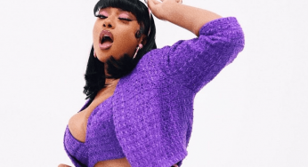 Megan Thee Stallion Turns Up The Heat With New Photo Shoot