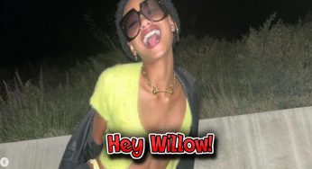 Willow Smith Shows Tons Of Skin & Her Vibe With New Photo Drop