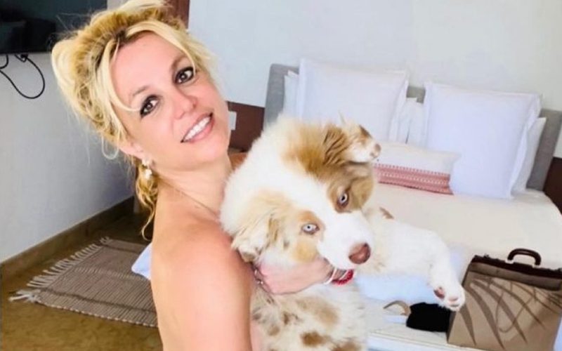 Britney Spears Bares All In Wild Photo Shoot With Her Dog