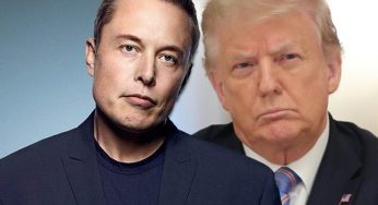 Elon Musk Denies Having Communication With Donald Trump About Buying Twitter