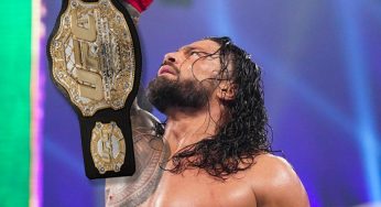 Paul Heyman Claims Roman Reigns Could Easily Be UFC Heavyweight Champion