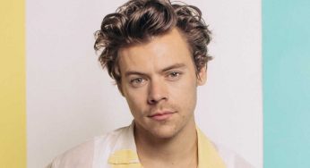 Harry Styles Fans Are Convinced That He Wears A Wig