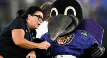 Ravens Mascot Carted Off The Field After Suffering Injury During Game