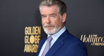 Pierce Brosnan Files Restraining Order Against Stalker