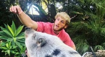 Logan Paul Grateful To Rescue Organization For Saving Pig That He Owned