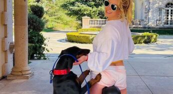 Britney Spears Warned By Animal Control After Her Dog Bit 70-Year-Old Man