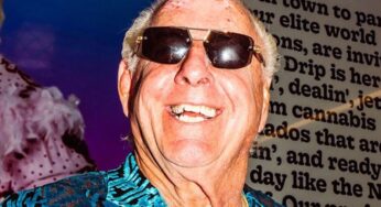 Ric Flair Will Be The Face Of Cannabis Erectile Dysfunction Remedy