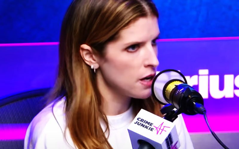 anna-kendrick-explains-why-she-earned-nothing-from-woman-of-the-hour-17