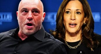 Joe Rogan Says Kamala Harris Interview Could Happen—But Only on His Terms