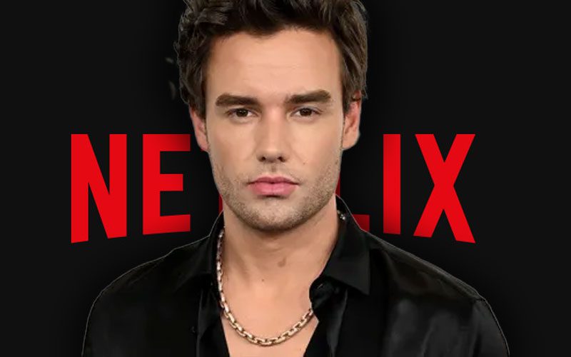 liam-paynes-netflix-series-building-the-band-paused-following-his-tragic-death-20