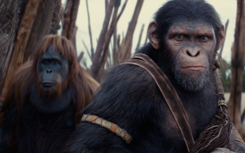 sequel-to-kingdom-of-the-planet-of-the-apes-confirmed-by-20th-century-studios-exec-37