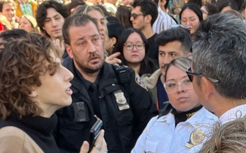 timothee-chalamet-lookalike-contest-turns-chaotic-as-nypd-detains-attendee-23