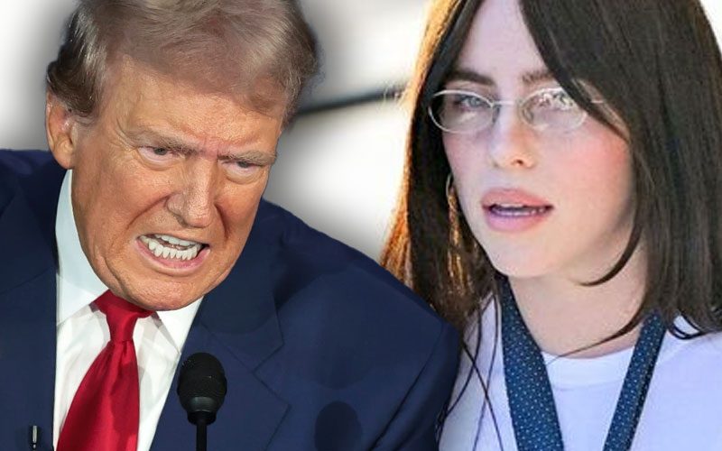 billie-eilish-slams-trump-during-nashville-show-he-hates-women-so-so-deeply-04