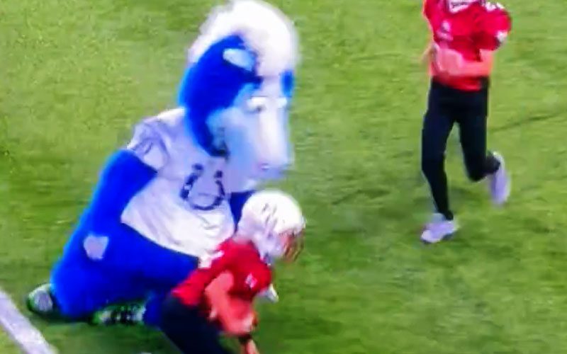 blue-the-mascot-steals-the-show-at-halftime-by-tackling-kids-and-busting-moves-20