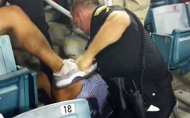 cops-beat-down-fans-in-wild-brawl-during-gators-vs-bulldogs-game-37