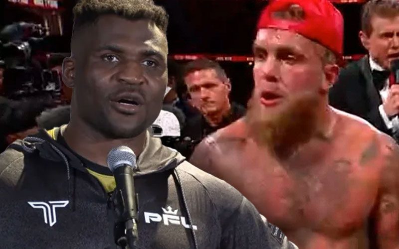 francis-ngannou-threatens-to-slap-jake-paul-after-win-over-mike-tyson-09