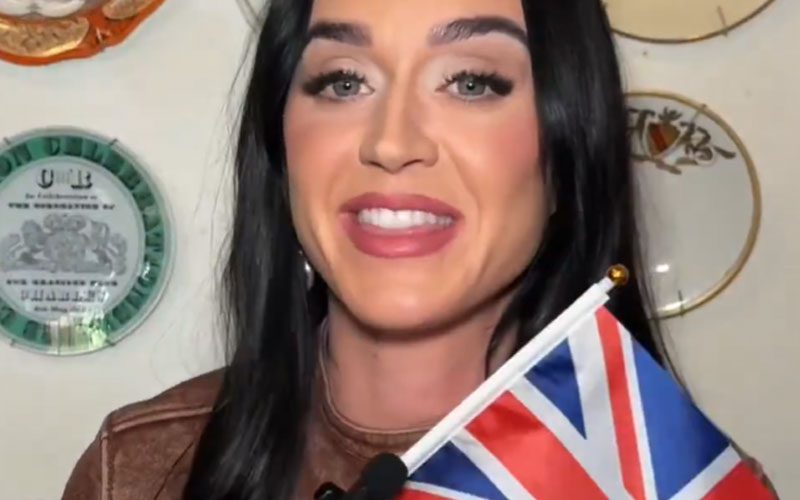 katy-perry-announces-lifetimes-tour-amid-comeback-struggles-54