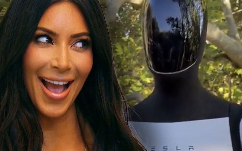 kim-kardashian-flaunts-her-new-tesla-robot-friend-18