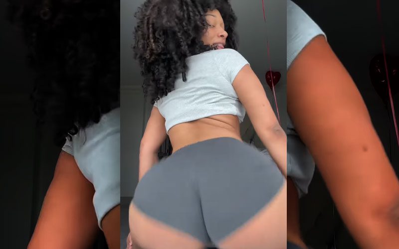 megan-thee-stallion-posts-twerking-video-amid-backlash-24