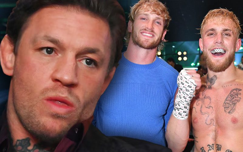 Betting Odds Favor Jake and Logan Paul Over Conor McGregor in Boxing Speculation