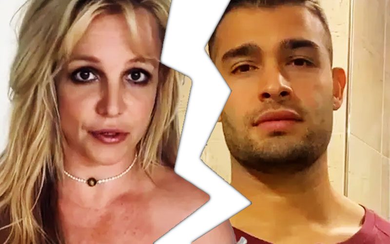 britney-spears-and-sam-asghari-finalize-divorce-on-her-43rd-birthday-55