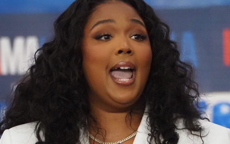 Lizzo Breaks Silence on Lawsuit Drama: "I Did Nothing Wrong"