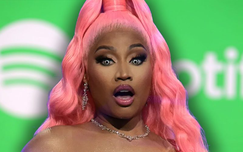 nicki-minaj-takes-aim-at-spotify-over-wrapped-delay-47